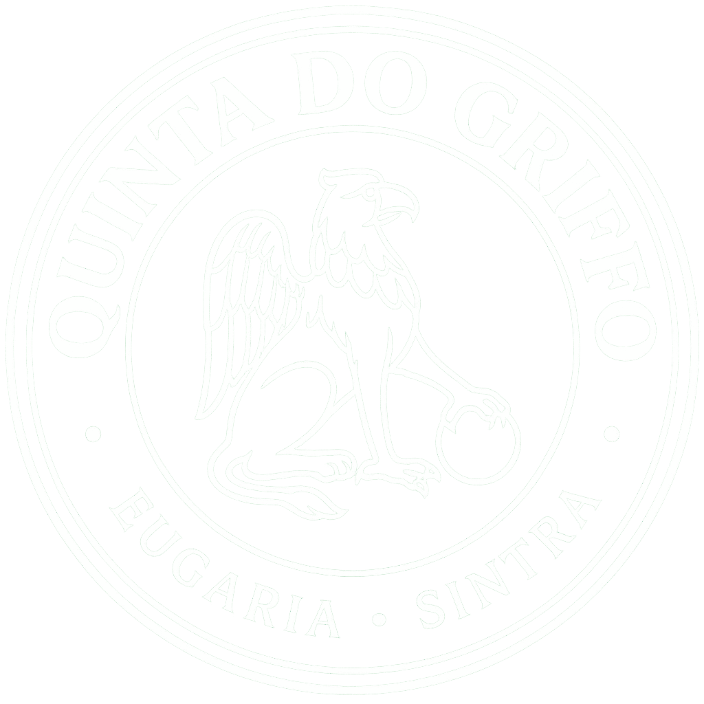 Projet Quintadogriffo.com